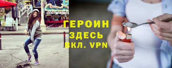 сатива Няндома