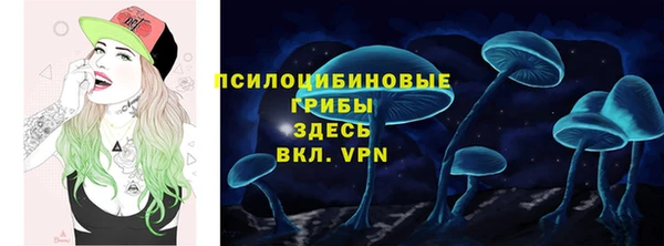 мет Нязепетровск