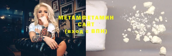сатива Няндома