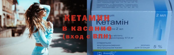сатива Няндома