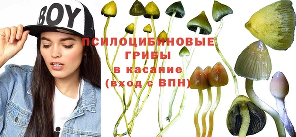 мет Нязепетровск