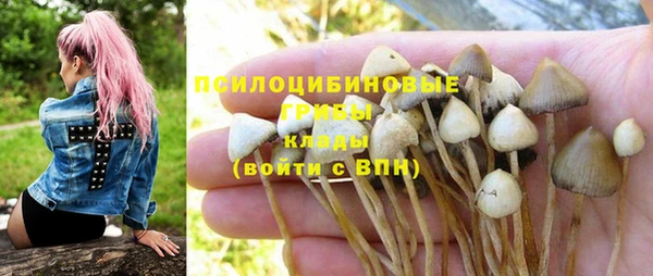 мет Нязепетровск