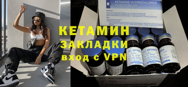сатива Няндома
