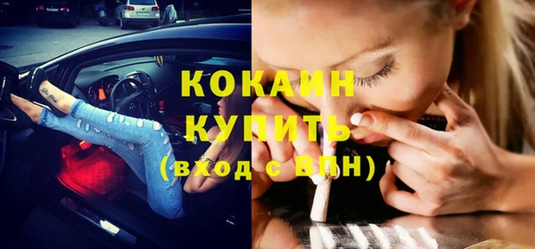 сатива Няндома