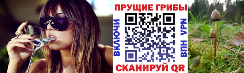 где купить наркоту  Колпашево  Галлюциногенные грибы прущие грибы 
